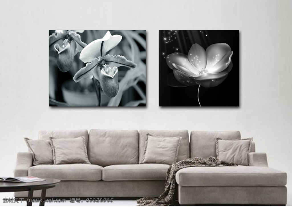 黑白 简约 花卉 客厅 装饰画 现代 无框画 花朵 灰色