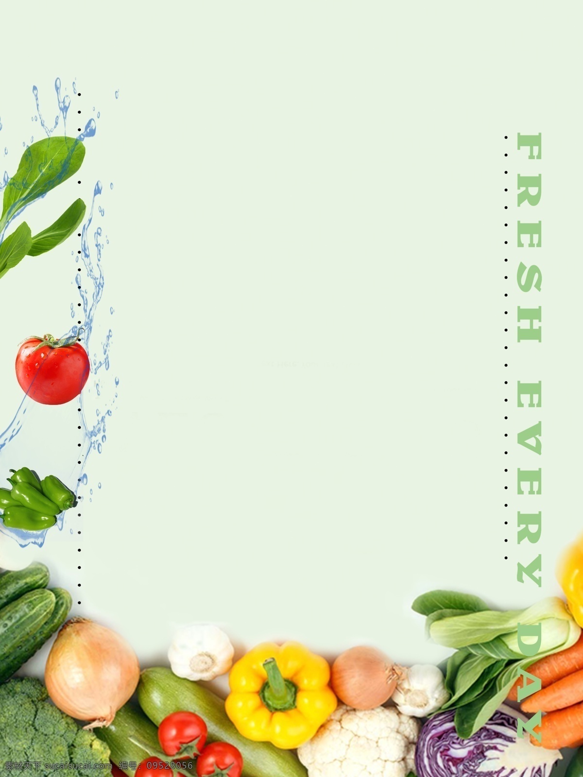 蔬菜背景 蔬菜 背景 青菜 西红柿 黄瓜 番茄 绿叶菜 包菜 洋葱 食材 食物 绿色蔬菜 食物背景