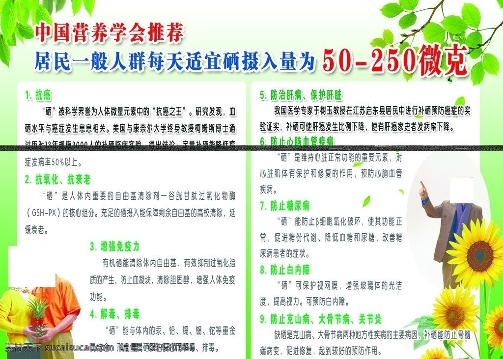 科学补硒 老年人 老两口 向日葵 红叶 展板 硒 展板模板 广告设计模板 源文件
