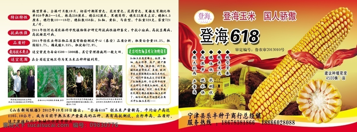 登海宣传栏 登海 宣传海报 玉米 红飘带 大气
