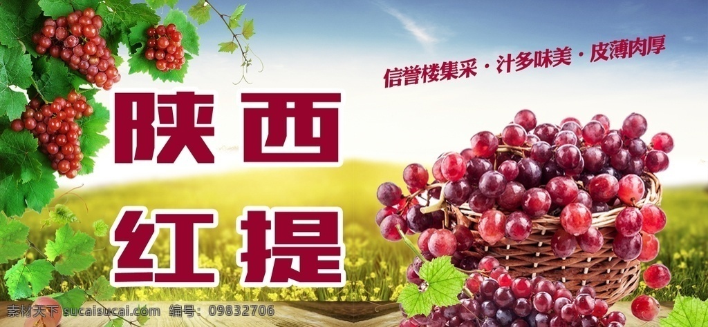陕西红提图片 红提 葡萄 陕西红提 山西 红 提 分层