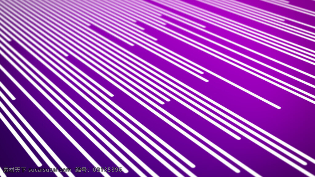 紫色 背景 线条 logo 展示 模版 紫色背景 ae ae模版
