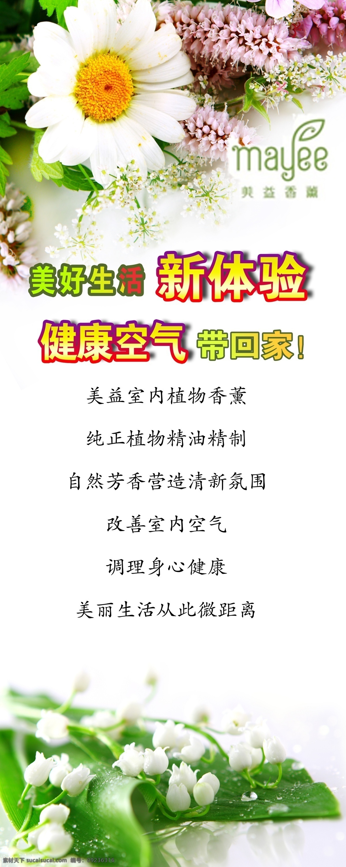 分层 背景素材 美好生活 清新 清新空气 西兰花 香薰 易拉宝 模板下载 邹菊 x 展架 300 200x80cm 源文件 展板 易拉宝设计