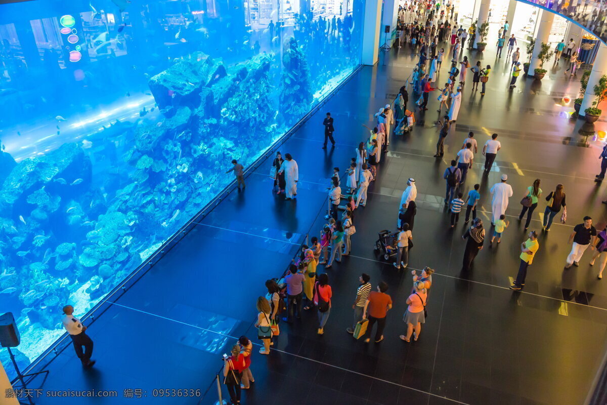 现代 水族馆 高清 迪拜 购物中心 商业中心 海鱼