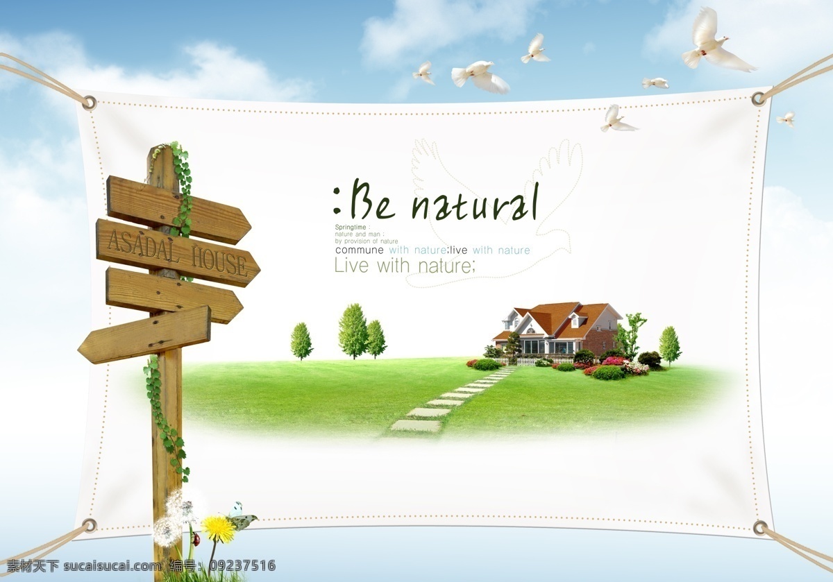 创意展板背景 草地 环保 房子 标识 导向 白鸽 海报 海报模板 展板模板 展板背景 psd图库 广告设计模板 psd素材 白色