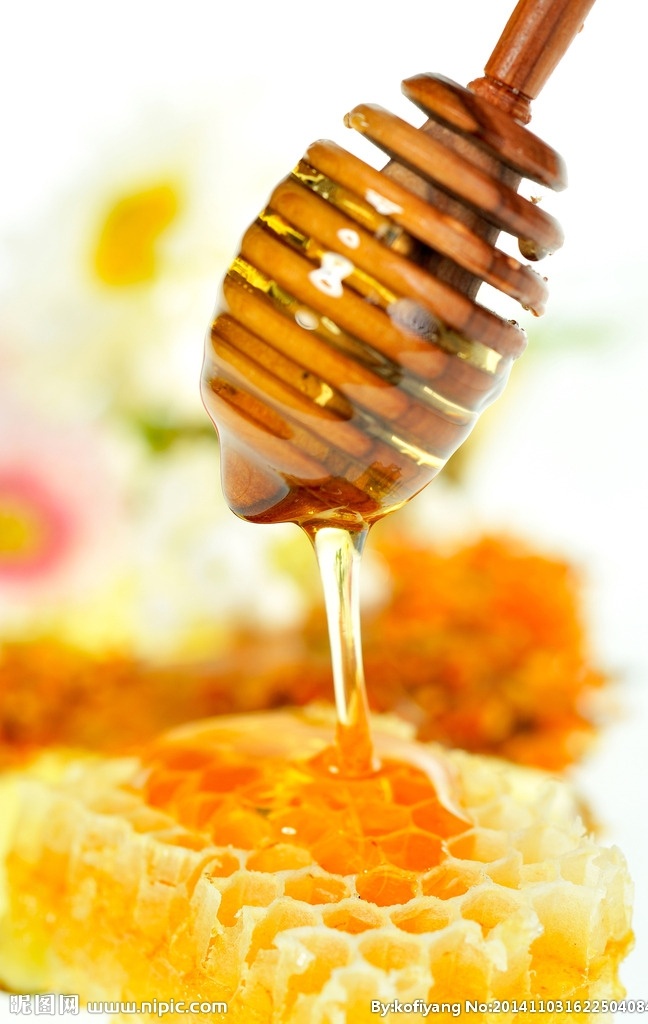美食 蜂蜜 蜜糖 网窝 天然蜂蜜 蜂蜜产品 蜂蜜素材 自然蜂蜜 蜂蜜图片 蜂蜜养殖 餐饮美食 食物原料
