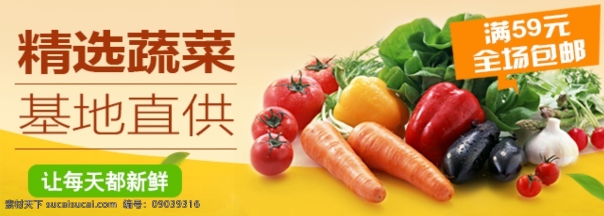 精选蔬菜 基地直供 蔬菜 生产基地 水果 生鲜 种植 黄色