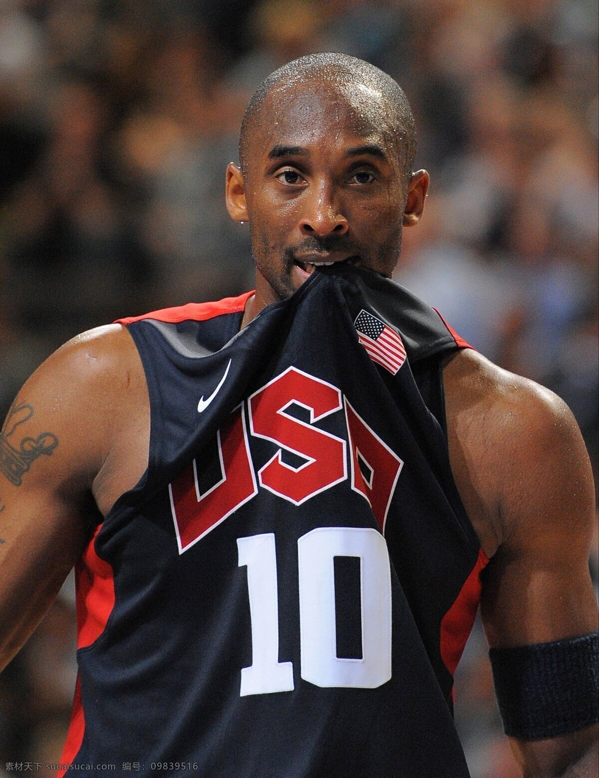 科比 篮球 nba 体育 美职篮 明星偶像 人物图库