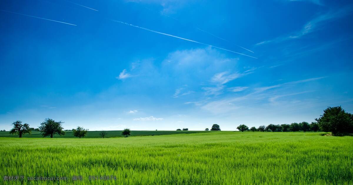 天空草地 天空 蓝天 白云 透视 草地 绿地 美丽 自然风景 绚丽多彩 大自然 自然景观 山水风景