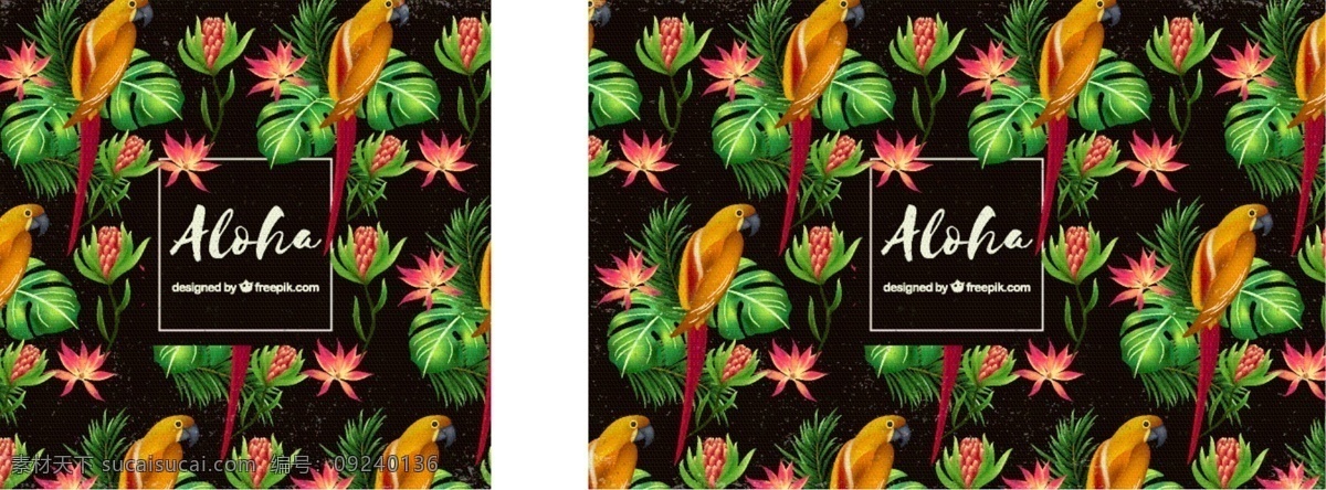parrot 模式 aloha 背景 图案 花卉 夏季 花卉背景 花卉图案 树叶 热带 图案背景 鹦鹉 夏威夷 季节 热带花卉 背景花 叶型