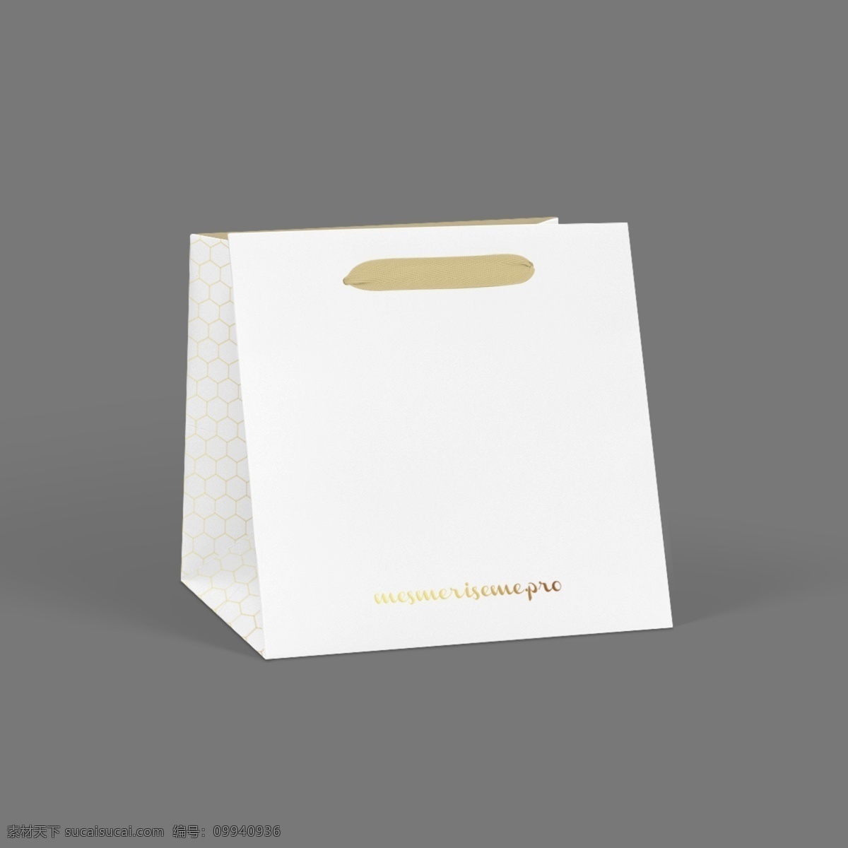 时尚 购 礼品 物 袋 模型 时尚购礼品袋 设计模型 贴图 vi 手提袋 袋子 logo贴图 智能贴图 智能对象 分层
