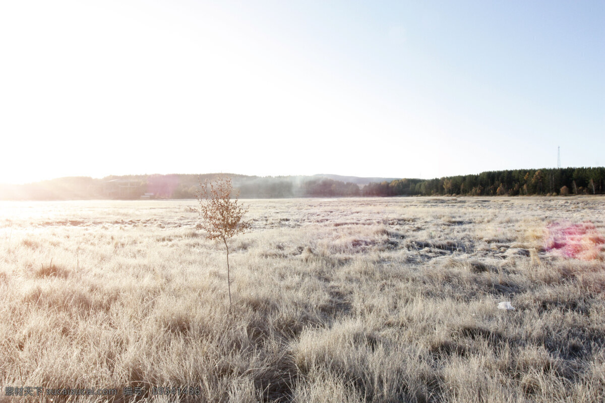 风景 早晨 下霜 草地 远景 摄影图 原创 自然风景 旅游摄影