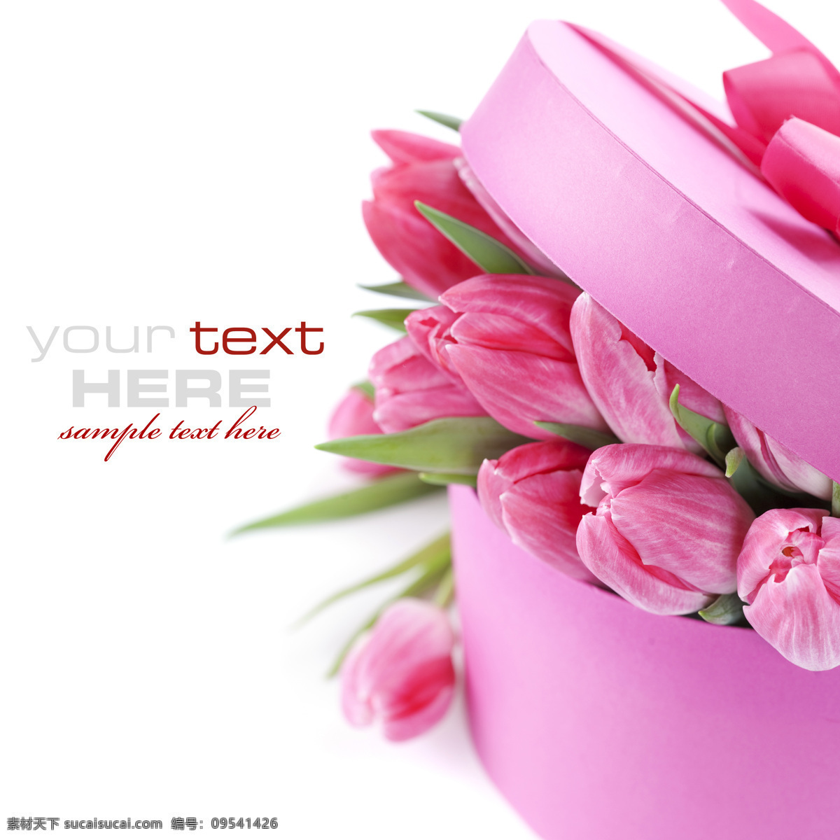 装 礼盒 里 鲜花 植物 高贵 典雅 新鲜 粉色礼盒 郁金香 花草树木 生物世界