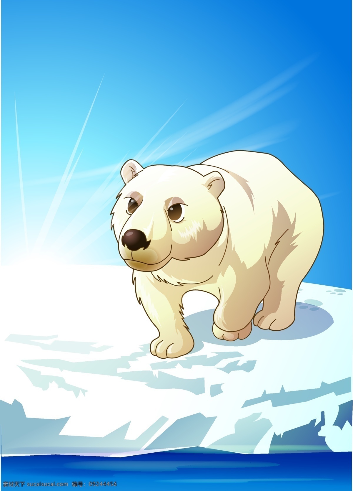 极性 北极熊5 白色