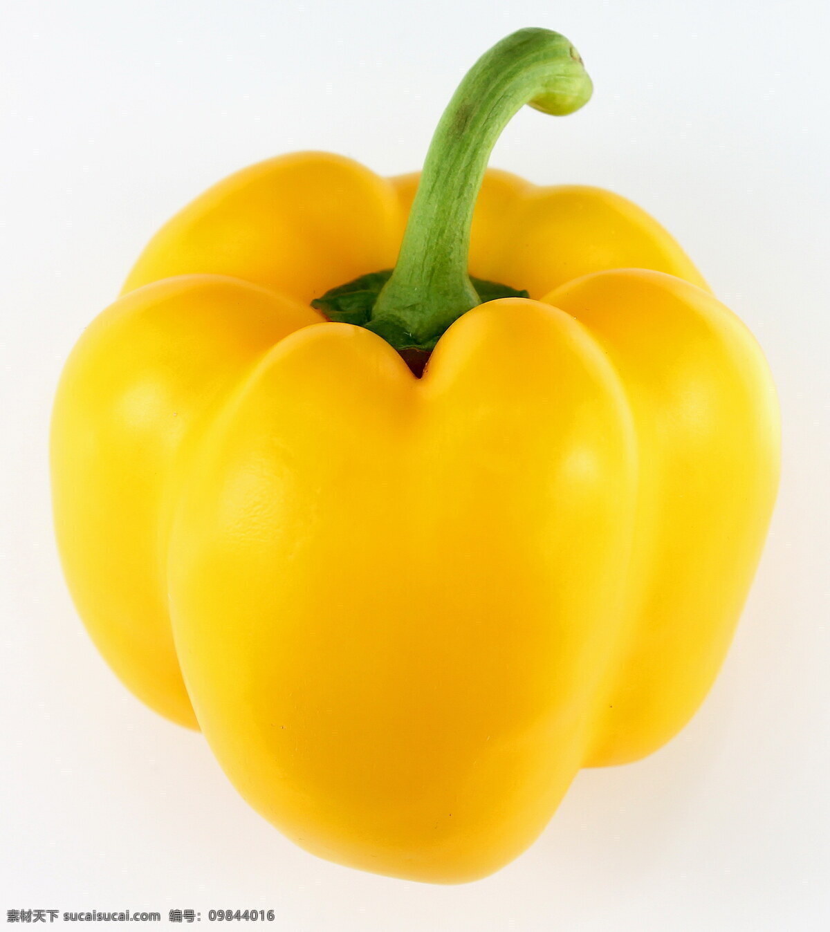 黄色灯笼椒 小灯笼椒 灯笼椒 菜椒 辣椒 食材