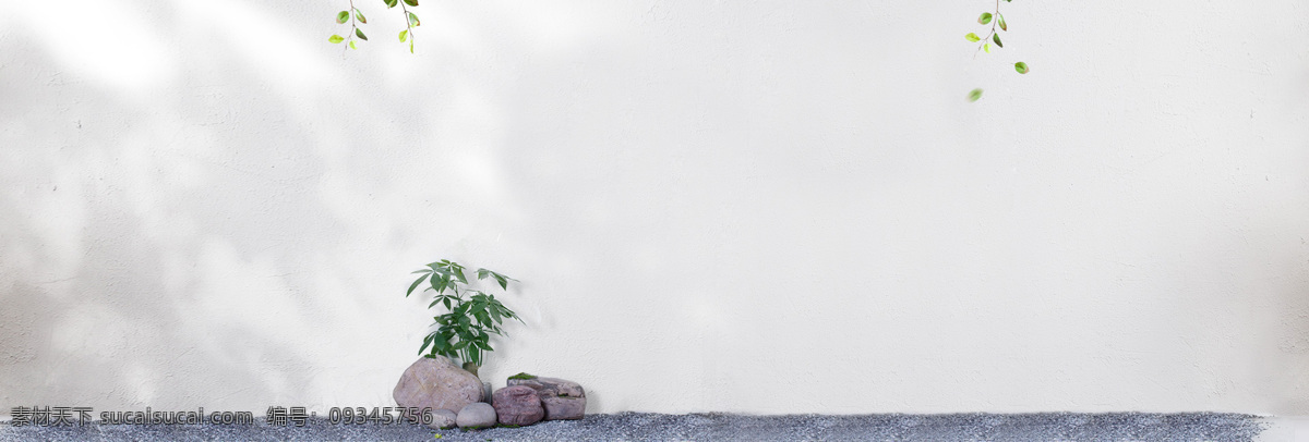 清新 简约 花盆 绿叶 淘宝 banner 背景