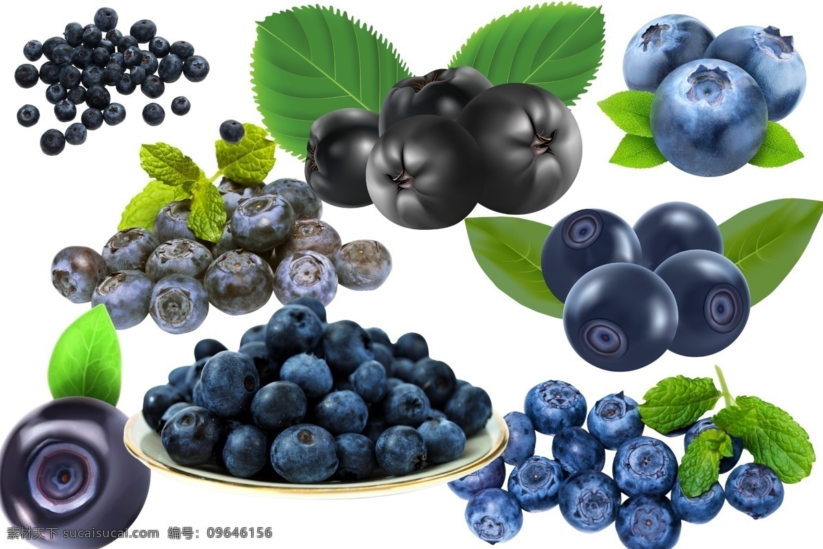 蓝莓 透明素材 png抠图 水果 黑葡萄 蓝色浆果 蔓越莓 笃斯 笃柿 嘟嗜 都柿 甸果 笃斯越桔 地果 龙果 非 原创 透明 合 辑 分层