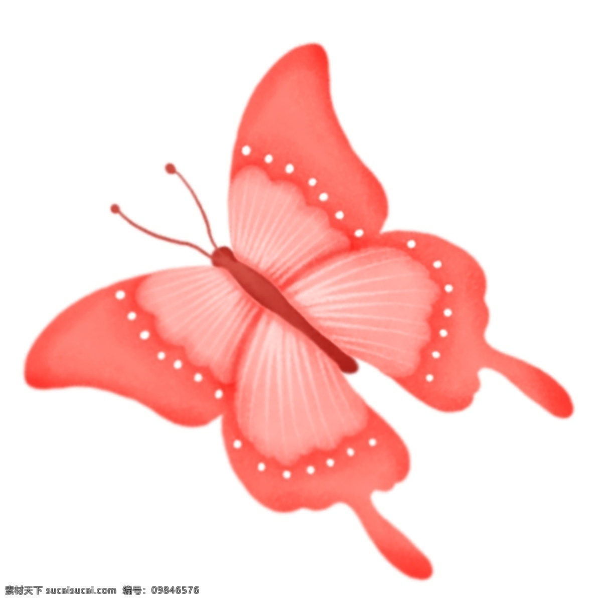 精美 蝴蝶 插画 图案 粉色 绘画素材 创意 简约 小清新 水彩 装饰图案 文艺 可爱 卡通