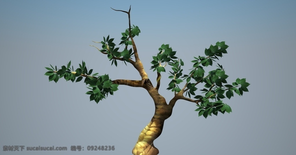 3d polygon 树 maya 带贴图 3d设计 3d作品