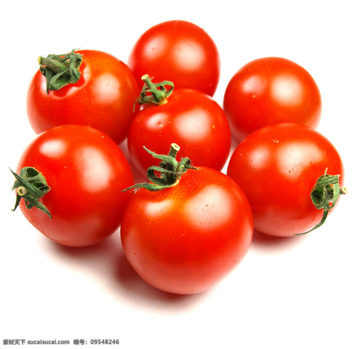 红色 蕃茄 西红柿 蕃茄图片 蕃茄高清图片 西红柿图片 高清 蔬菜 高清图片 蔬菜图片 餐饮美食