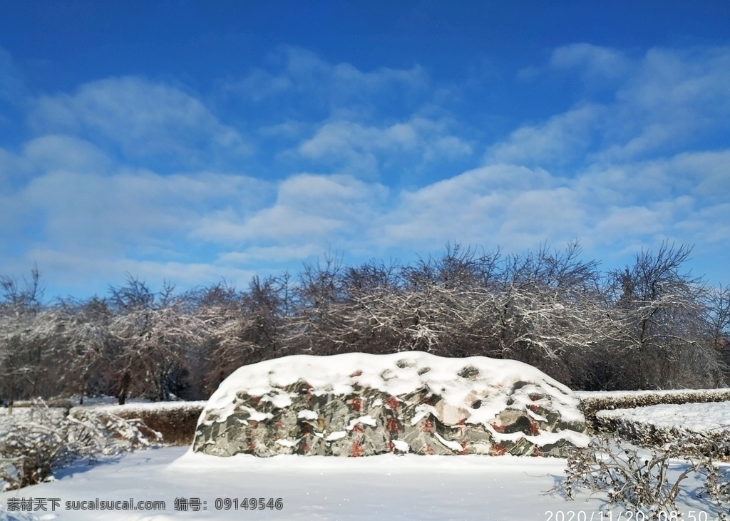 蓝天白雪图片 蓝 天 白 雪 树 东北 背景 旅游摄影 国内旅游