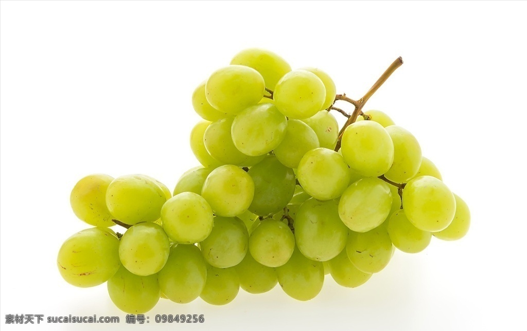 葡萄高清图片 水果 高清水果 水果大图 蔬菜水果