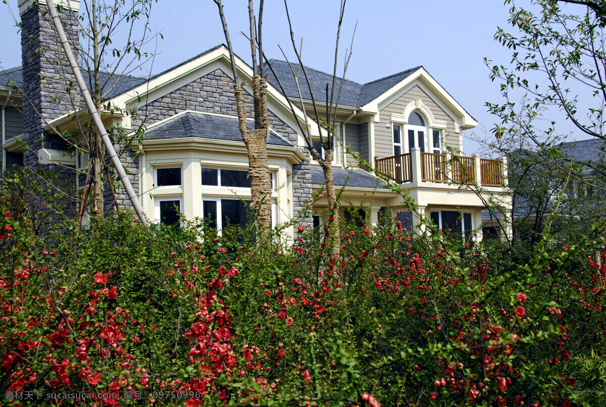 独栋别墅 别墅 红花 红色 花草 树木 窗户 园林 美观 大气 舒适 建筑 建筑摄影 建筑园林