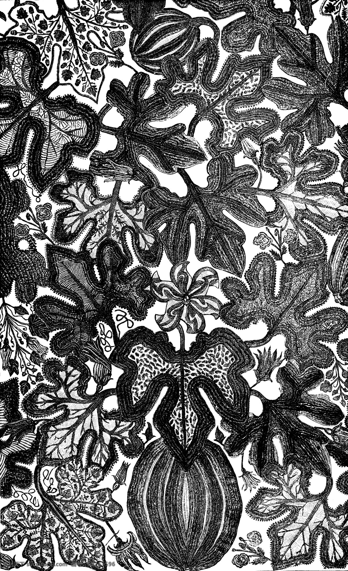 黑白 花边 植物 纹样 线条 花卉 服装边饰 刺绣图案 传统文化 文化艺术