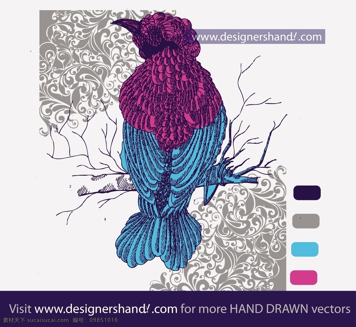 漂亮的装饰鸟 鸟 蓝色 紫色 手绘 白色
