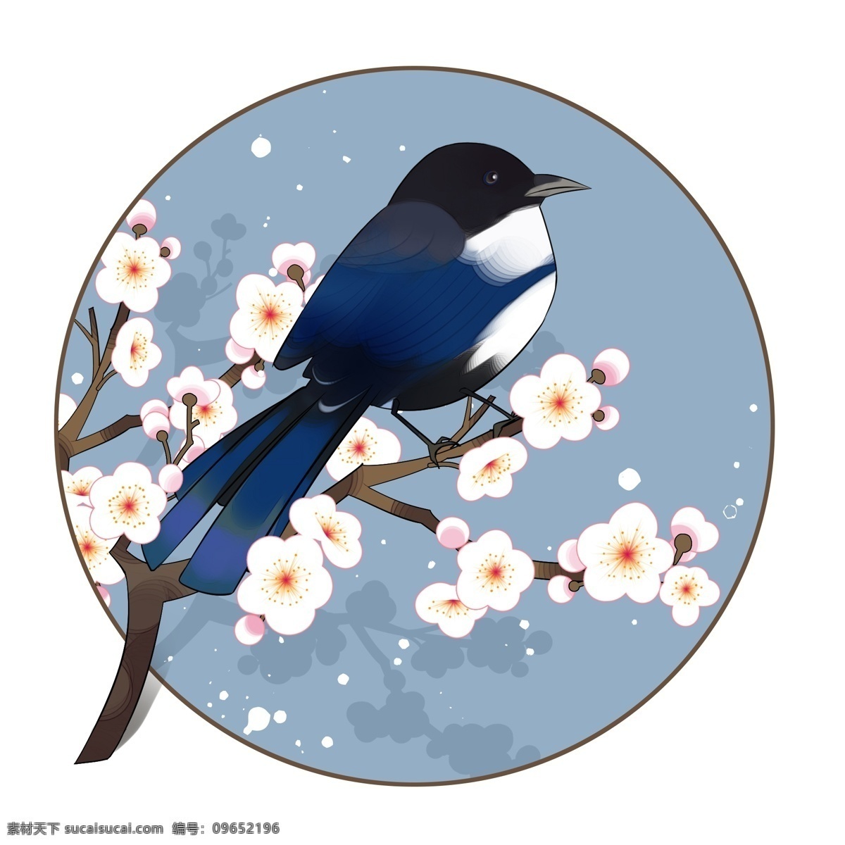 蓝色 花 喜鹊 梅花 花喜鹊 分层