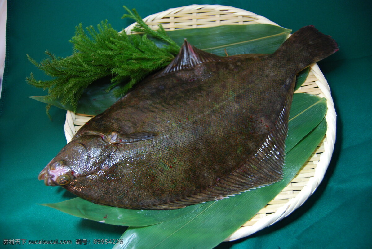 多宝鱼 海鱼 海鲜 比目鱼 食材 食物原料 餐饮美食