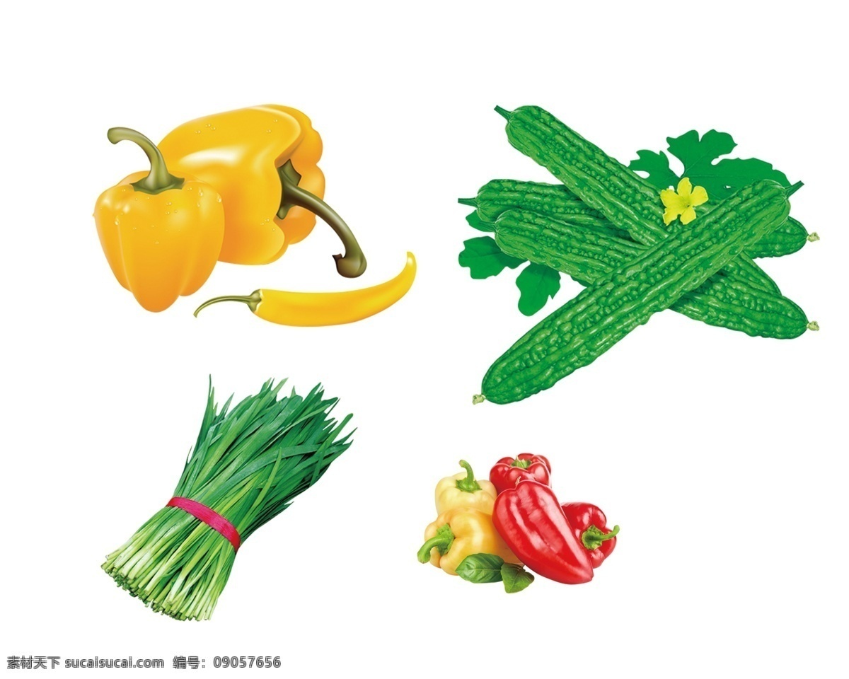 蔬菜素材分层 蔬菜 分层 黄色青椒 辣椒 苦瓜 韭菜