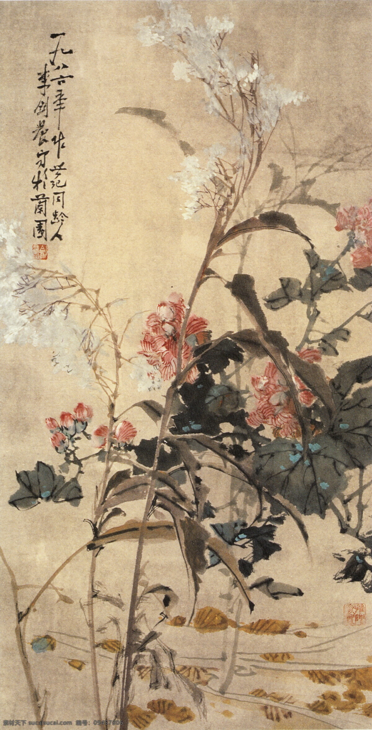 芦花芙蓉 李剑晨国画 国画 中国画 山水画 写意画 书法 大师作品 风景画 写意 水墨画 花 池塘 芙蓉 芦花 绘画书法 文化艺术