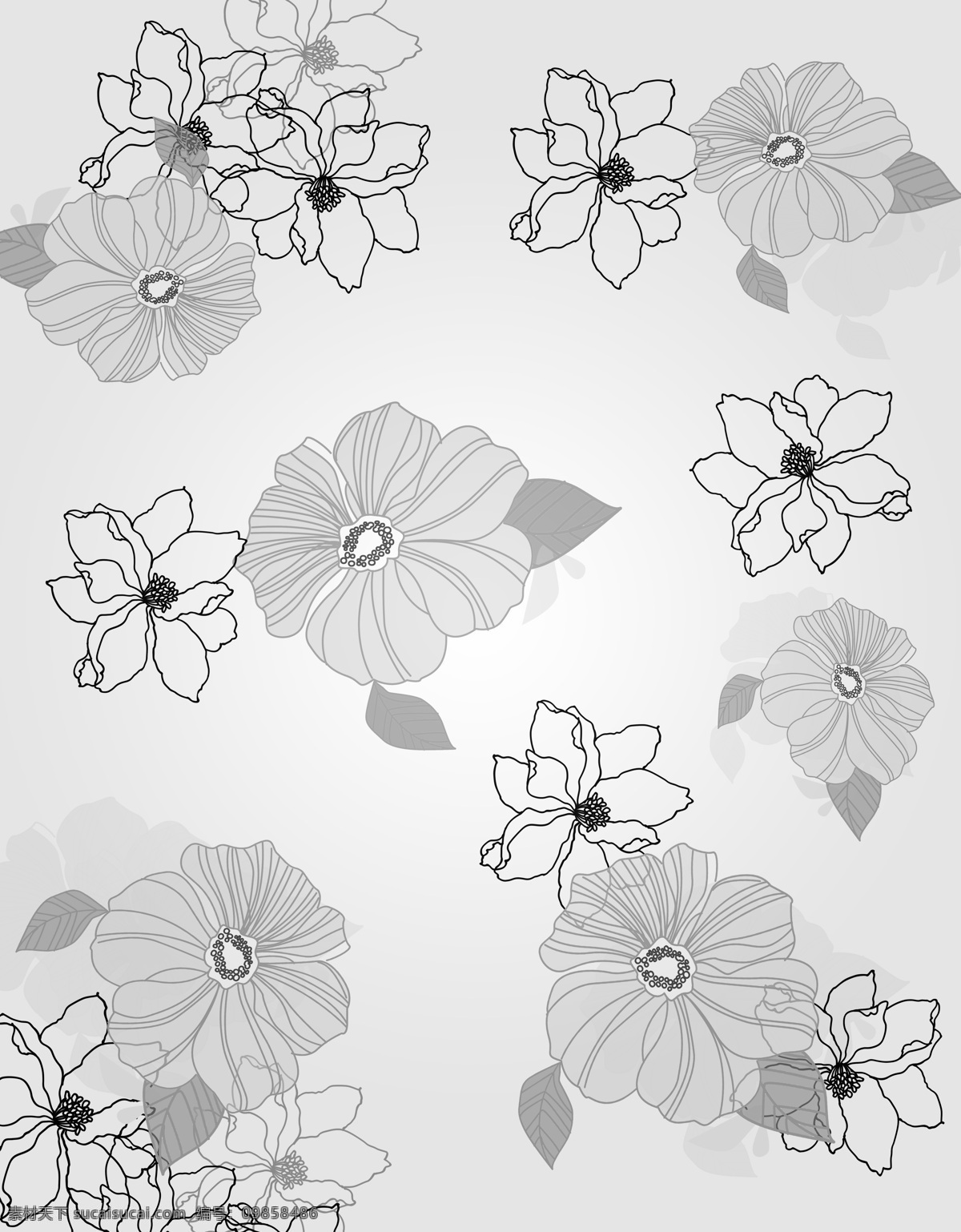 线条花 黑白 花 花朵 叶子 移门 位图移门 背景底纹 底纹边框