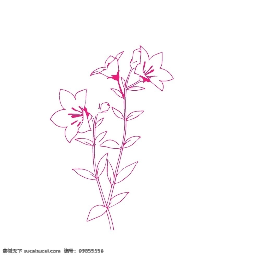 矢量 牵牛花 线图 手绘牵牛花 手绘喇叭花 牵牛花素材 牵牛花元素 喇叭花素材 水彩牵牛花 水彩喇叭花 国画牵牛花 国画喇叭花 牵牛花插画 喇叭花插画 卡通牵牛花 卡通喇叭花 手绘花卉 鲜花 花朵 手绘水彩花卉 花卉手绘 手绘花卉花朵 抽象手绘花卉 花卉背景墙 水彩花 卡通设计