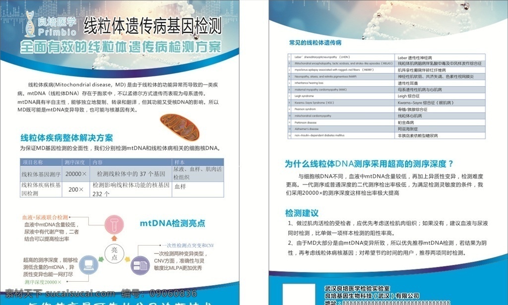 医学 基因 dna 线粒体 遗传病 传单 彩页 海报 基因检测 科技