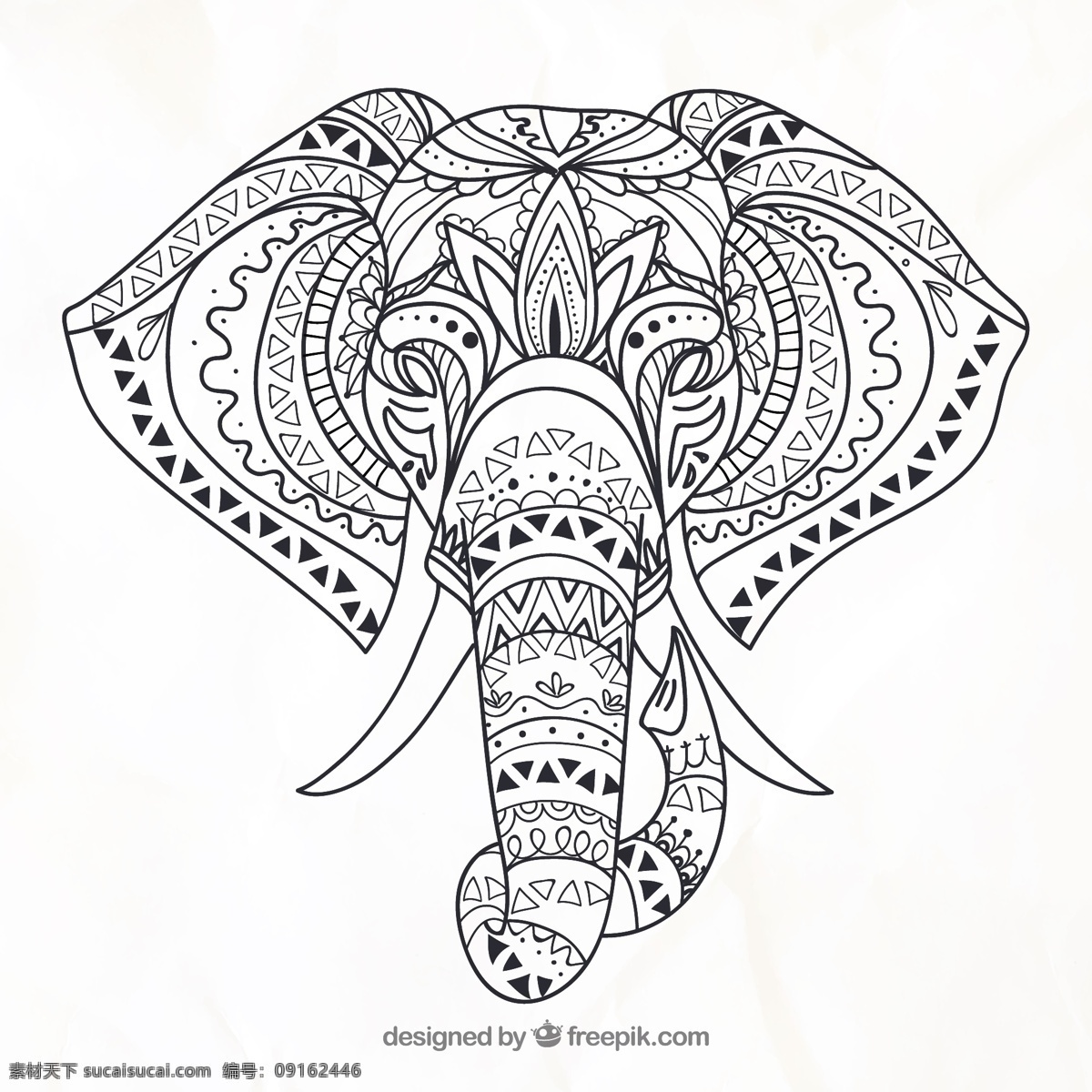大象 头 黑白 线 稿 手绘 插画 大象头 线稿