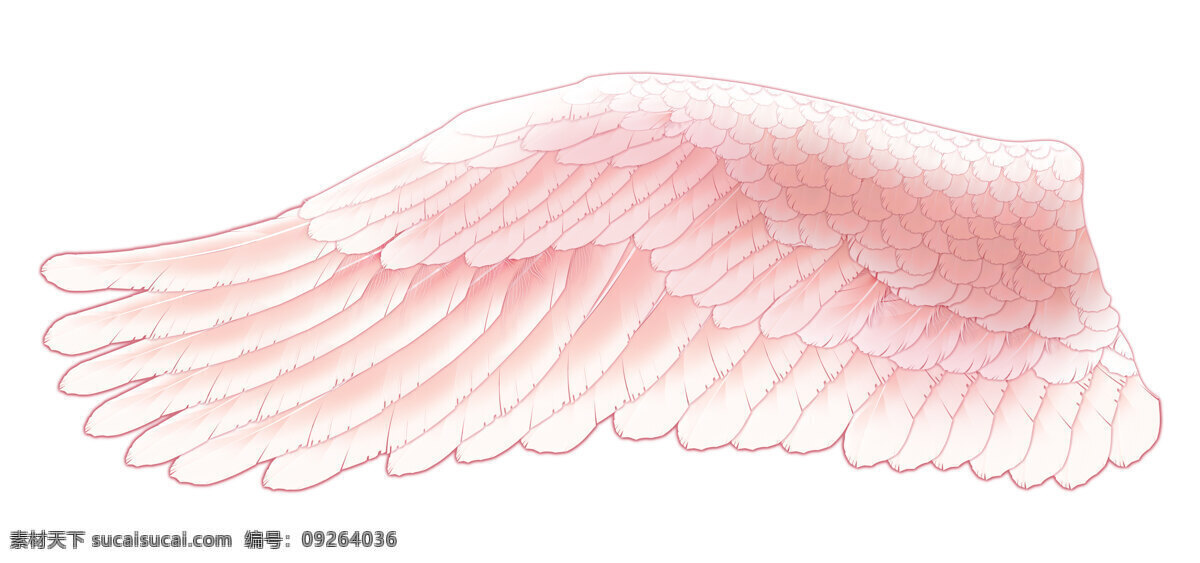 天使 翅膀 动漫动画 动漫人物 天使的翅膀 设计素材 模板下载 psd源文件