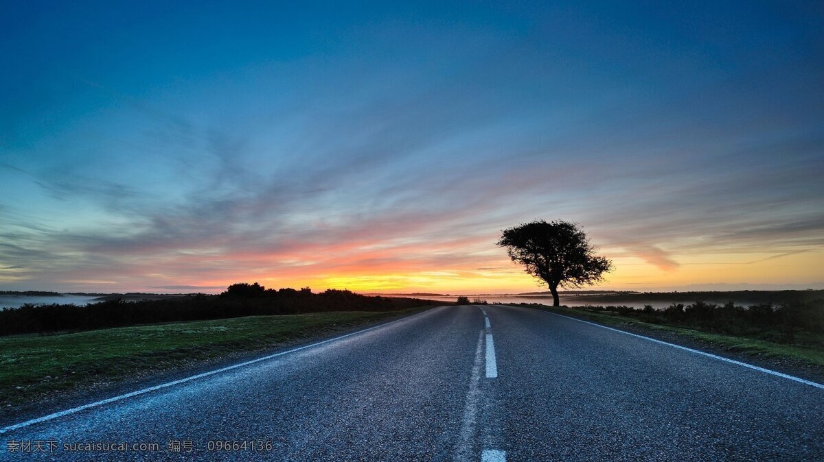 夕阳高速公路 夕阳 大树 高速公路 晨曦 风景素材 自然景观 自然风景