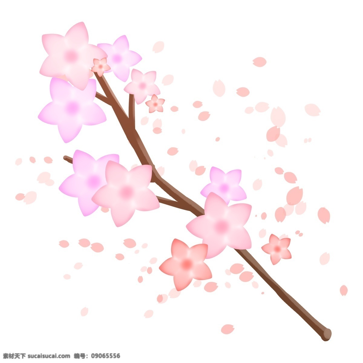 粉色 星星 樱花 插图 飘落的樱花 飞起的花瓣 棕色树枝 星星樱花 樱花设计 完美的樱花 美丽的樱花
