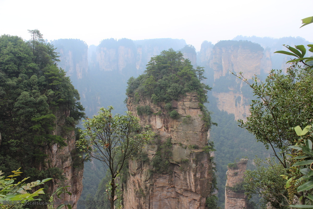 旅游景区 高山 树林 自然风光 风景 景区 休闲 旅游 山水风景 风景图片