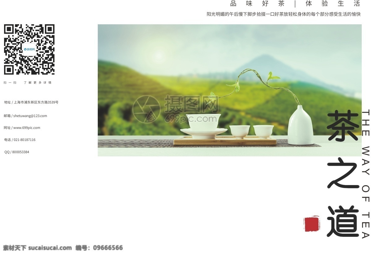 现代 简约 茶 道 画册 封面 茶之道 画册封面 泡茶 沏茶 茶具 茶叶 中国文化 绿茶