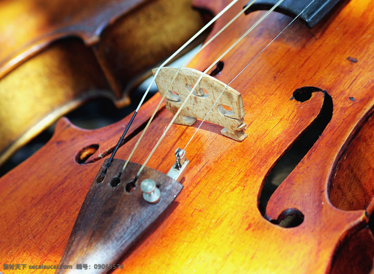 小提琴琴弦 音乐 艺术 乐器 弦乐器 小提琴 文化艺术 舞蹈音乐 摄影图库