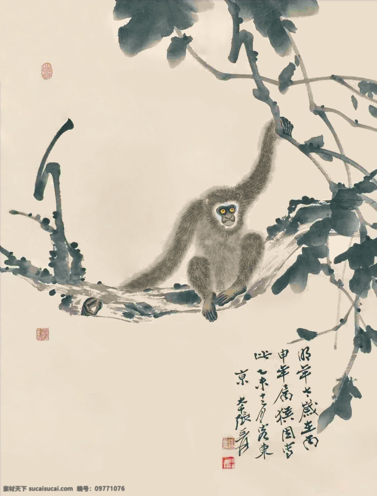 猴 张大千画 国画 猴子 名画猴 大千画猴 文化艺术 绘画书法