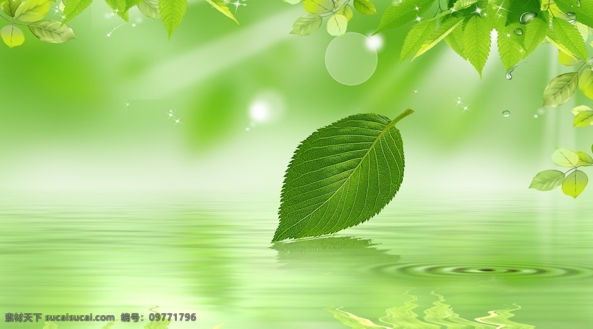绿色背景 春季 背景 树叶 水珠 水滴 水 高光 白光 广告设计模板 源文件