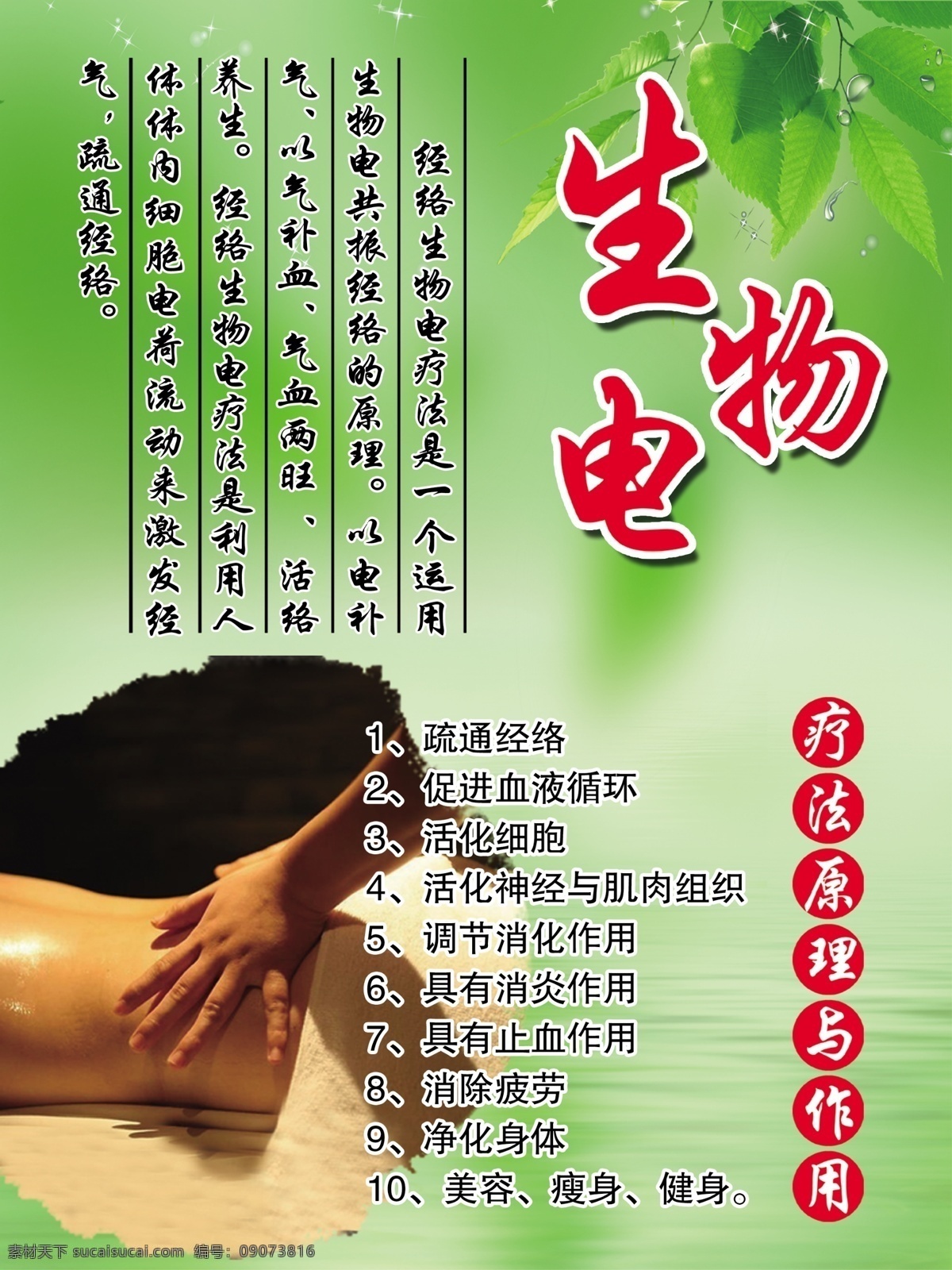 美容店版面 美容店展板 生物电治疗 绿色展板