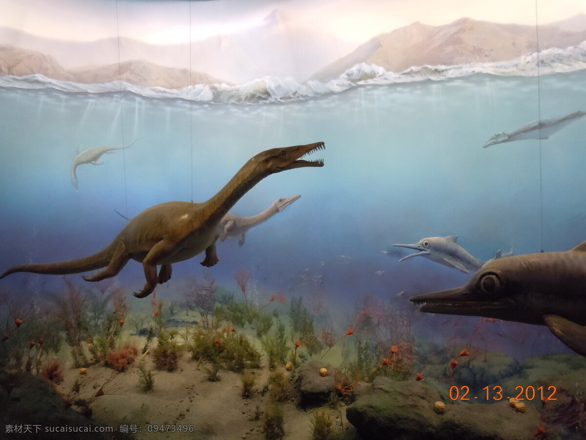 恐龙时代 动物标本 自然博物馆 鹰 支架 橱窗 动物世界 远古时代 恐龙 翼龙 海底龙 生物进化