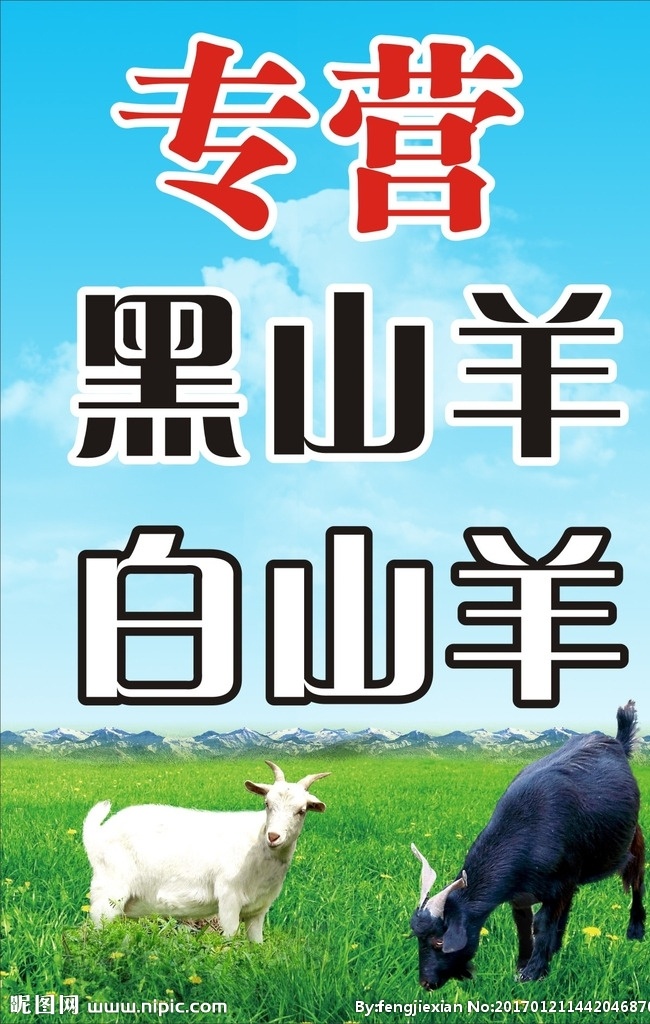 山羊 羊 黑山羊 白山羊 专营 草地