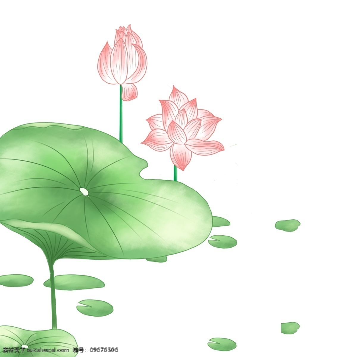 清新 夏季 荷花 荷叶 插画 元素 手绘 夏日元素 插画元素