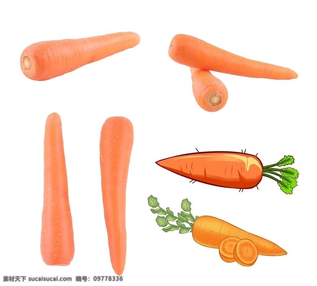 蔬菜 新鲜胡罗卜 胡罗卜标签 矢量胡罗卜 胡罗卜素 食品蔬菜水果